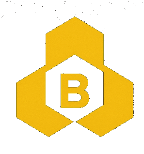 BNBDEX Logo